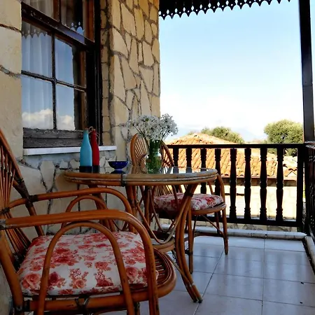 Lemon Boutique シダ